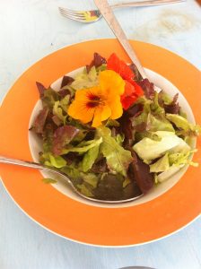 Bunter Salat mit essbaren Blüten